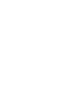 Edelweiss irish pub massa di somma